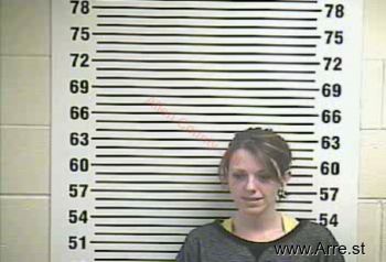 Ashley N Sullivan Mugshot