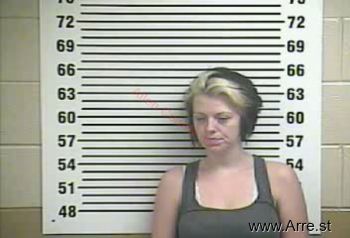 Ashley N Sullivan Mugshot