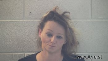 Ashley Nicole Terry Mugshot