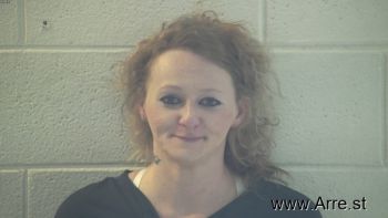 Ashley Nicole Terry Mugshot