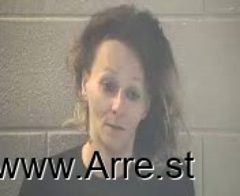 Ashley Nicole Terry Mugshot