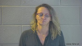 Ashley Nicole Terry Mugshot