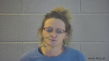 Ashley Nicole Terry Mugshot