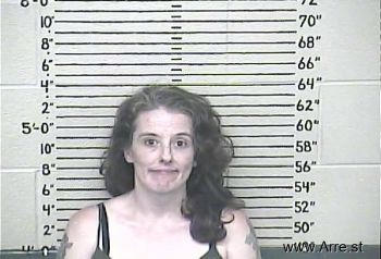 Ashley Dawn Tolliver Mugshot