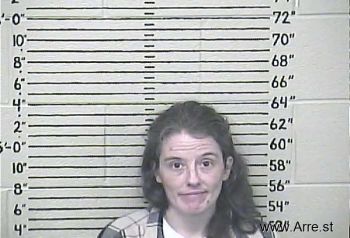 Ashley Dawn Tolliver Mugshot