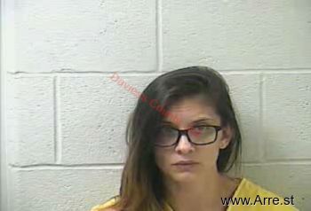 Ashley Ann Wilkins Mugshot