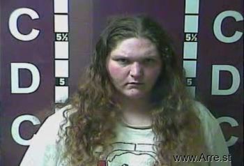 Ashley Lee Willis Mugshot