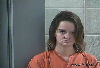 Ashley E Wilson Mugshot