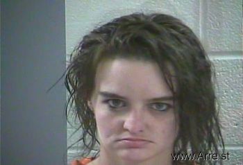 Ashley E Wilson Mugshot