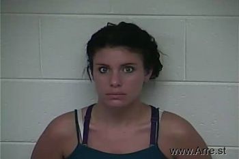 Ashley Marie Wilson Mugshot