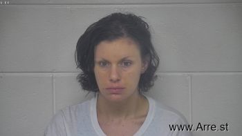 Ashley M Wilson Mugshot