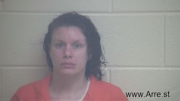 Ashley Marie Wilson Mugshot