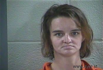 Ashley E Wilson Mugshot