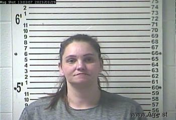 Ashley Elizabeth Wolford Mugshot