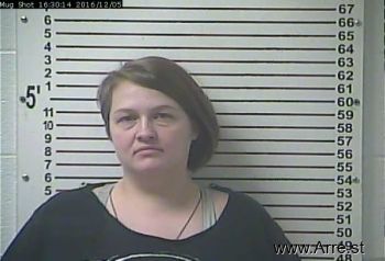 Ashley Elizabeth Wooden Mugshot