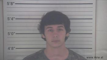 Aundres Arreguin Sanchez Mugshot