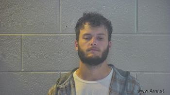 Austin Cole Brasfield Mugshot