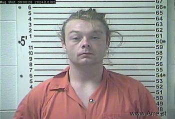 Austin Lee Howard Mugshot