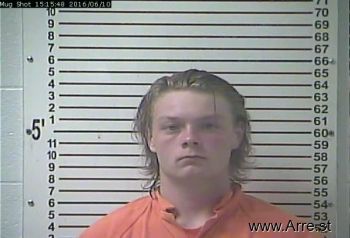 Austin Lee Howard Mugshot