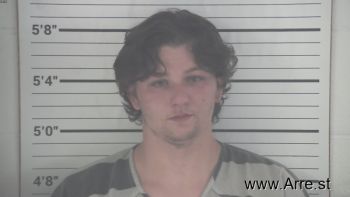 Austin Devon Perkins Mugshot