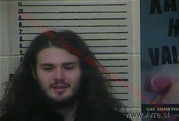 Austin Ford Smith Mugshot