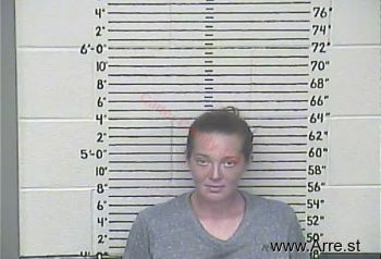 Autmn R. Blevins Mugshot