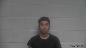 Adolfo  Mendoza-martinez Mugshot