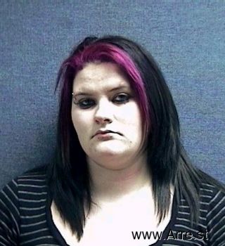 Amanda Faye Elam Mugshot