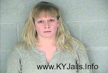 Amanda Gane Dickerson   Mugshot