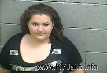 Amanda Lee Davis   Mugshot