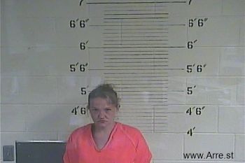 Amanda S. Mcintosh Mugshot