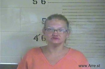 Amanda S. Mcintosh Mugshot