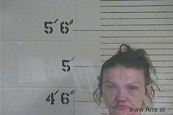 Amanda S. Mcintosh Mugshot