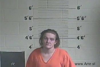 Amanda S Mcintosh Mugshot