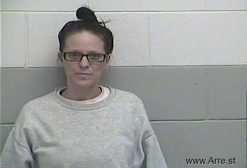 Amanda L Sanders Mugshot