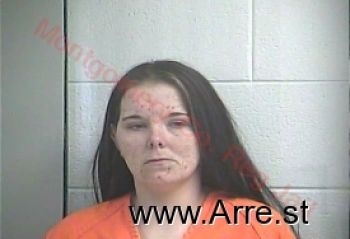 Amanda L Wells Mugshot