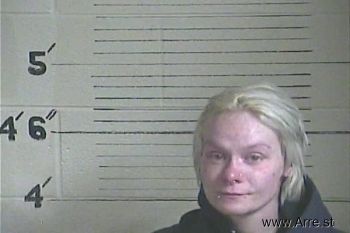 Amber L Mcdaniel Mugshot