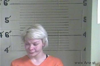 Amber L Mcdaniel Mugshot