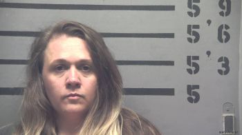 Amy  Adams Mugshot