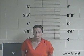 Amy  Fultz Mugshot