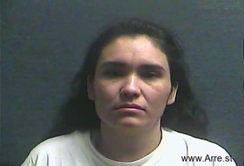 Ana  Lopez Vargas Mugshot