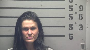 Andrea  Breedlove Mugshot