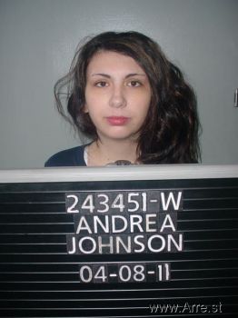 Andrea Elizabeth Johnson Mugshot