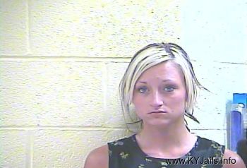 Ashley Ann Alexander   Mugshot