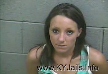 Ashley Ann Lee   Mugshot