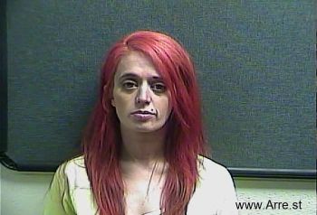 Ashley M Ellis Mugshot