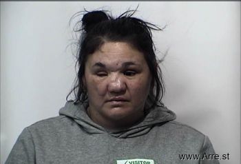 Ashley  Jenkins Mugshot