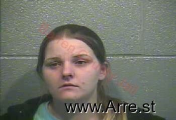 Ashley Nicole Miller Mugshot