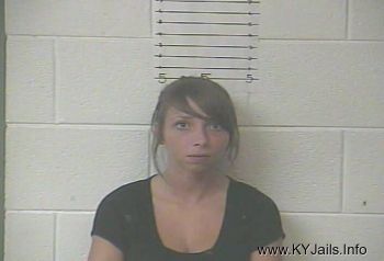 Ashley Nicole Napier   Mugshot