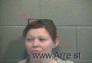 Ashley Sheree Turner Mugshot